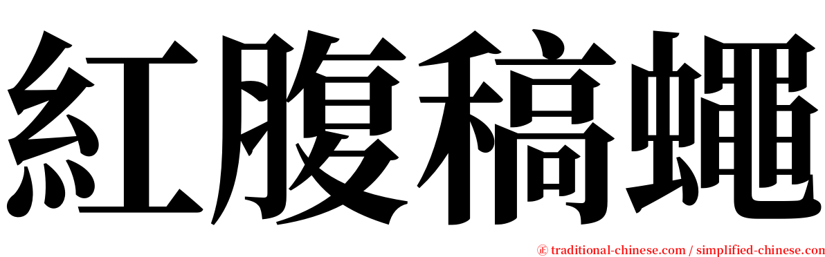 紅腹稿蠅 serif font