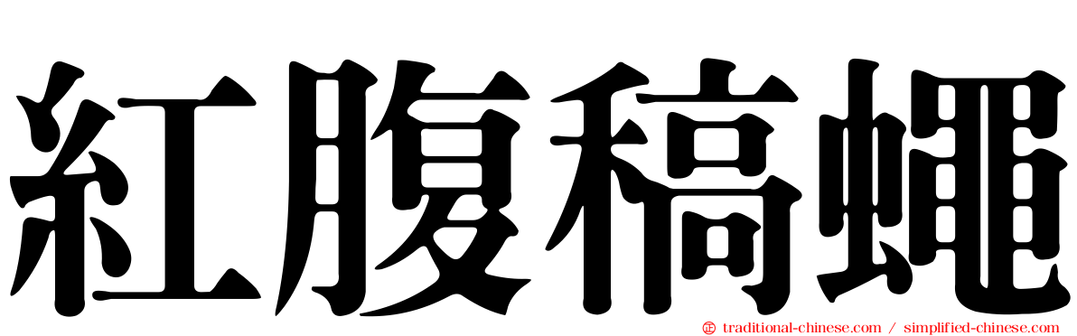 紅腹稿蠅