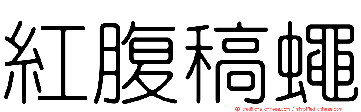 紅腹稿蠅