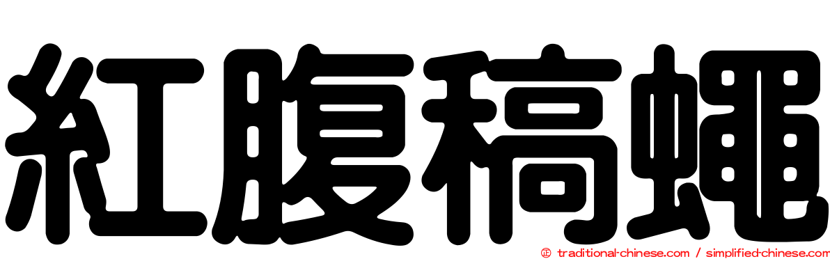 紅腹稿蠅