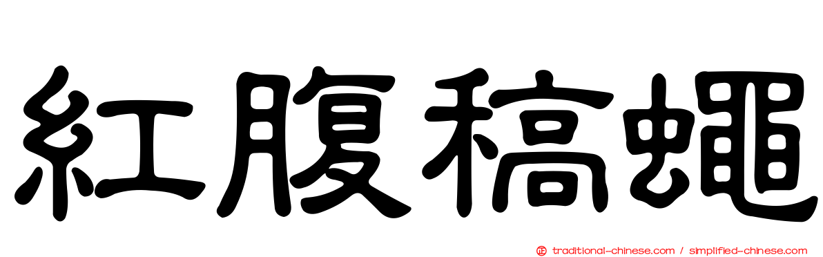 紅腹稿蠅