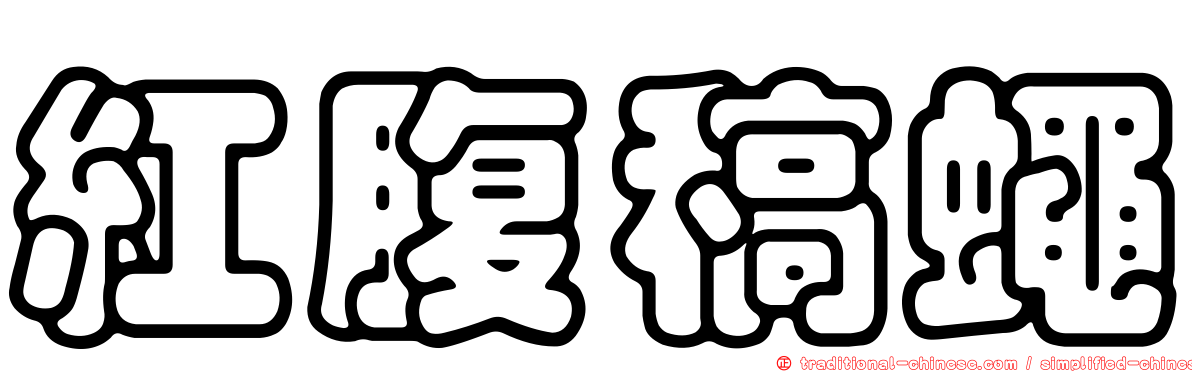 紅腹稿蠅