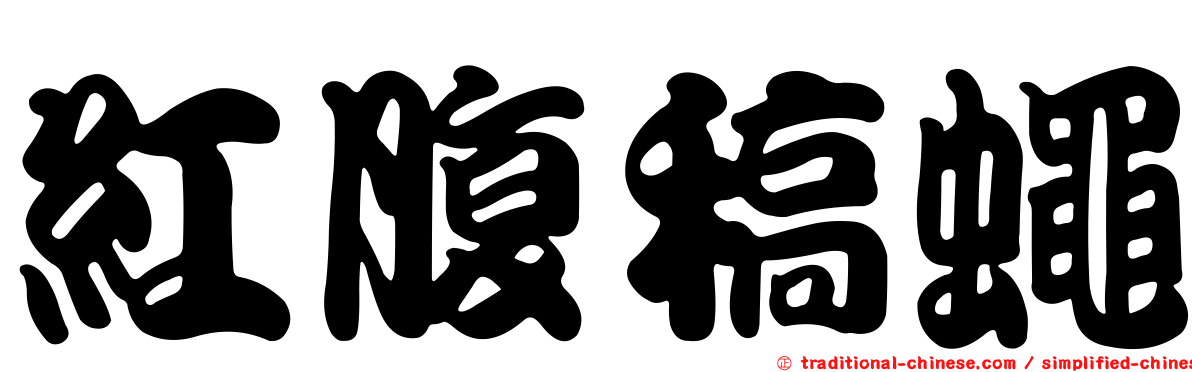 紅腹稿蠅