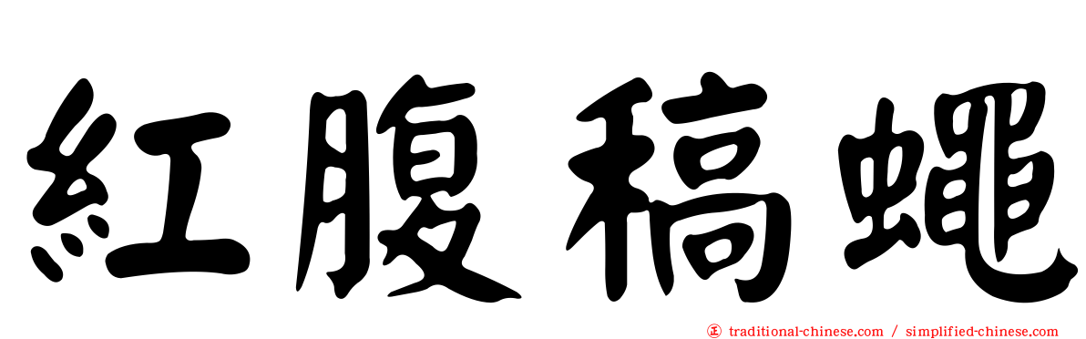 紅腹稿蠅