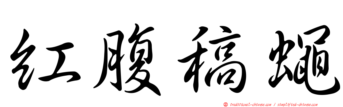 紅腹稿蠅