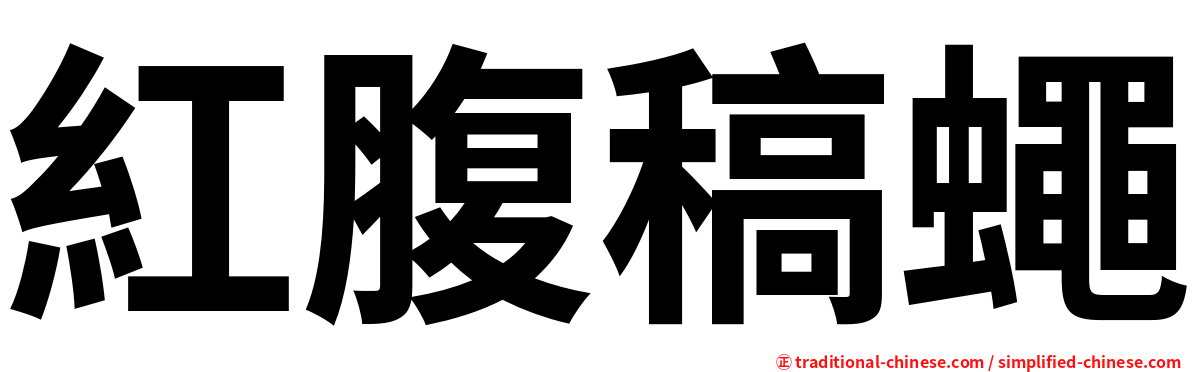 紅腹稿蠅