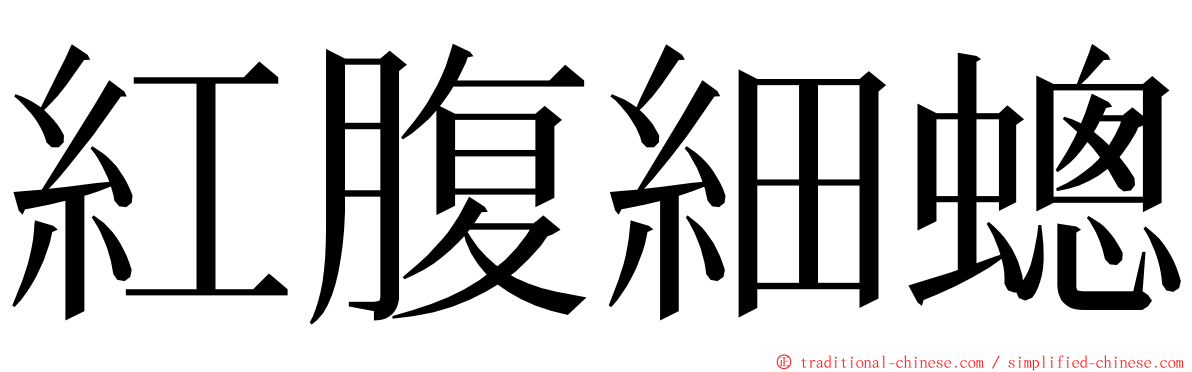 紅腹細蟌 ming font