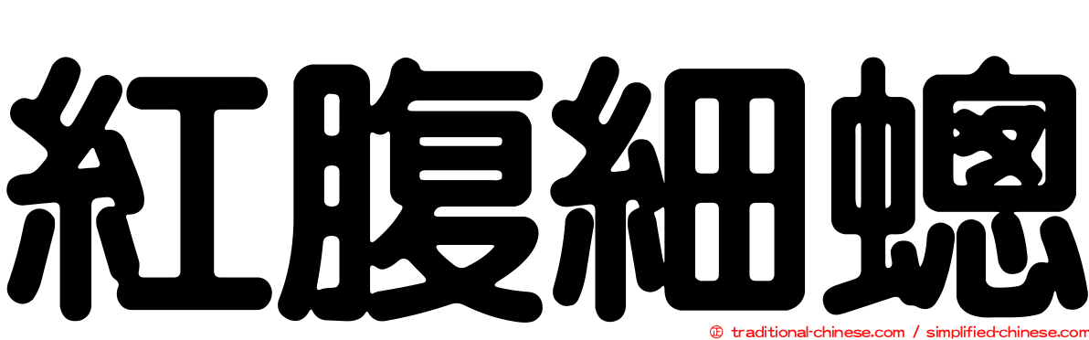 紅腹細蟌