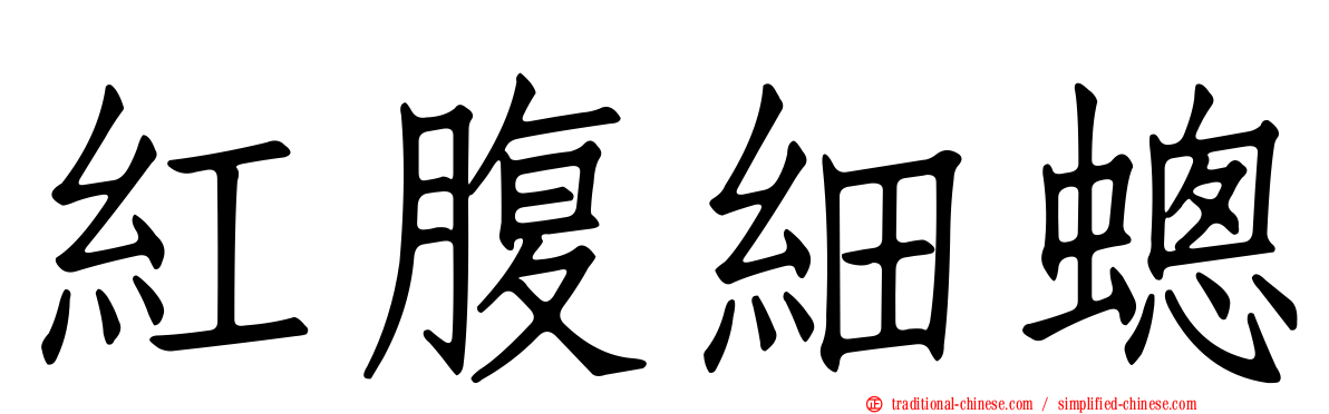 紅腹細蟌