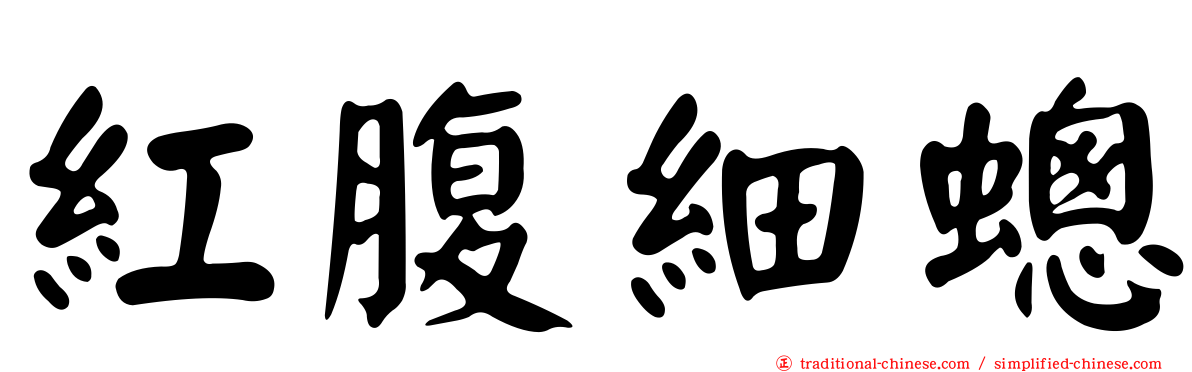 紅腹細蟌