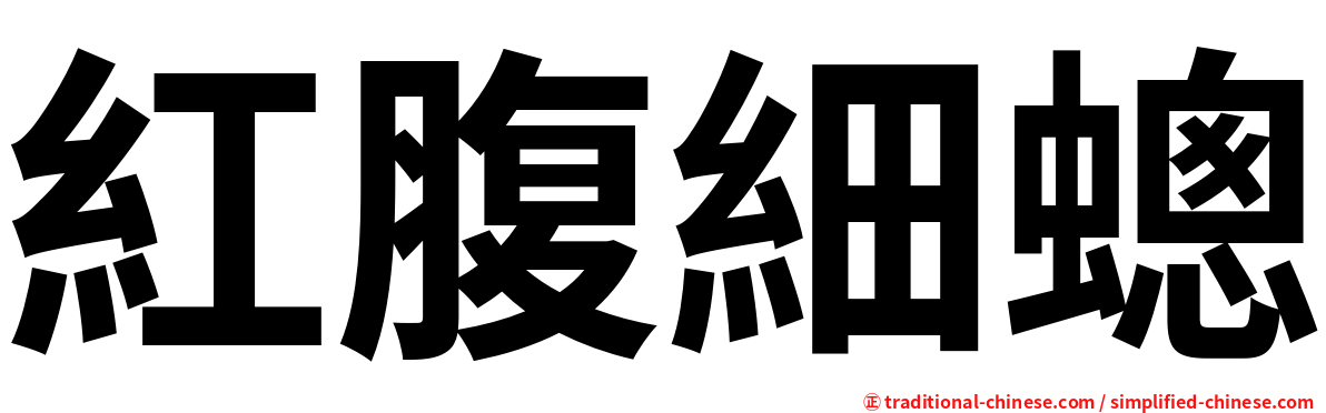 紅腹細蟌