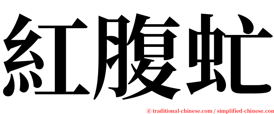 紅腹虻 serif font