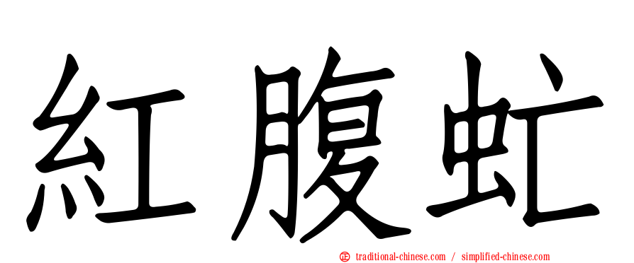 紅腹虻