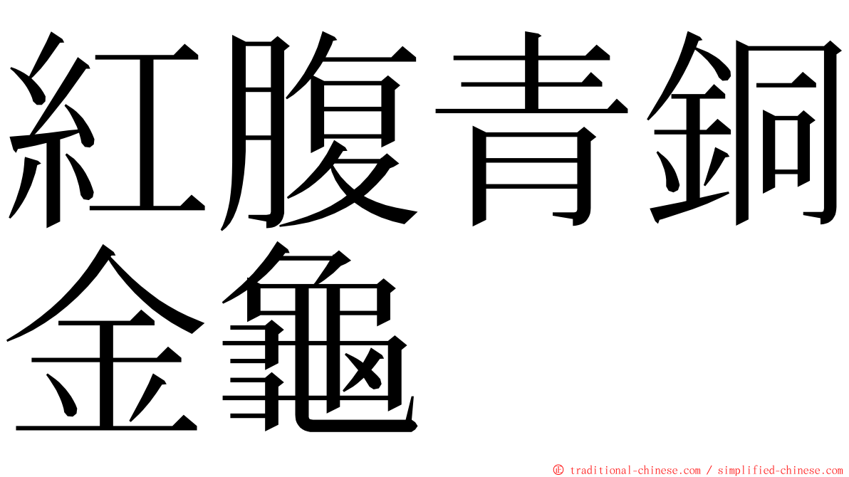 紅腹青銅金龜 ming font