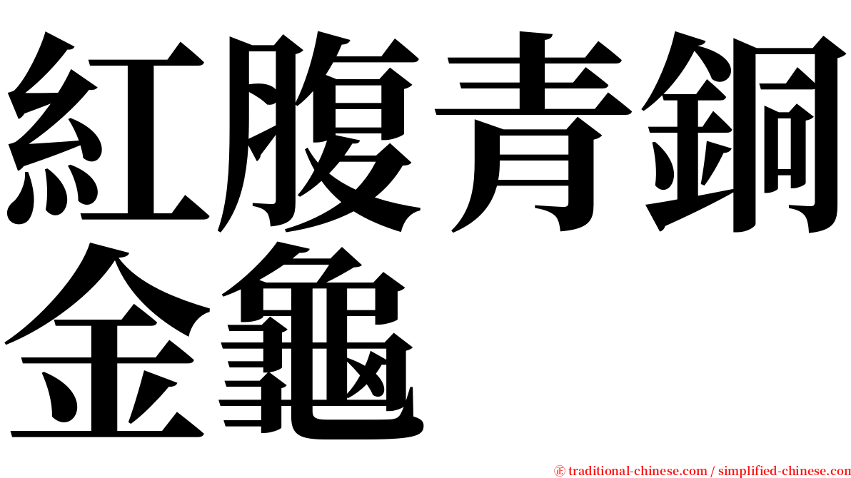 紅腹青銅金龜 serif font