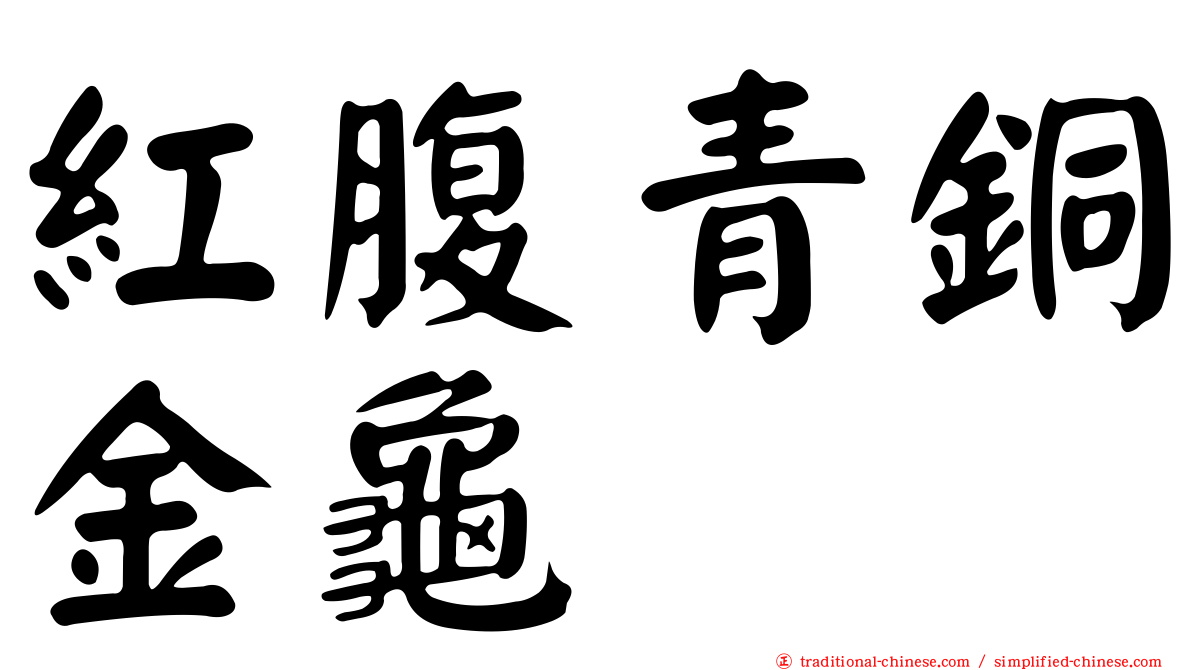 紅腹青銅金龜