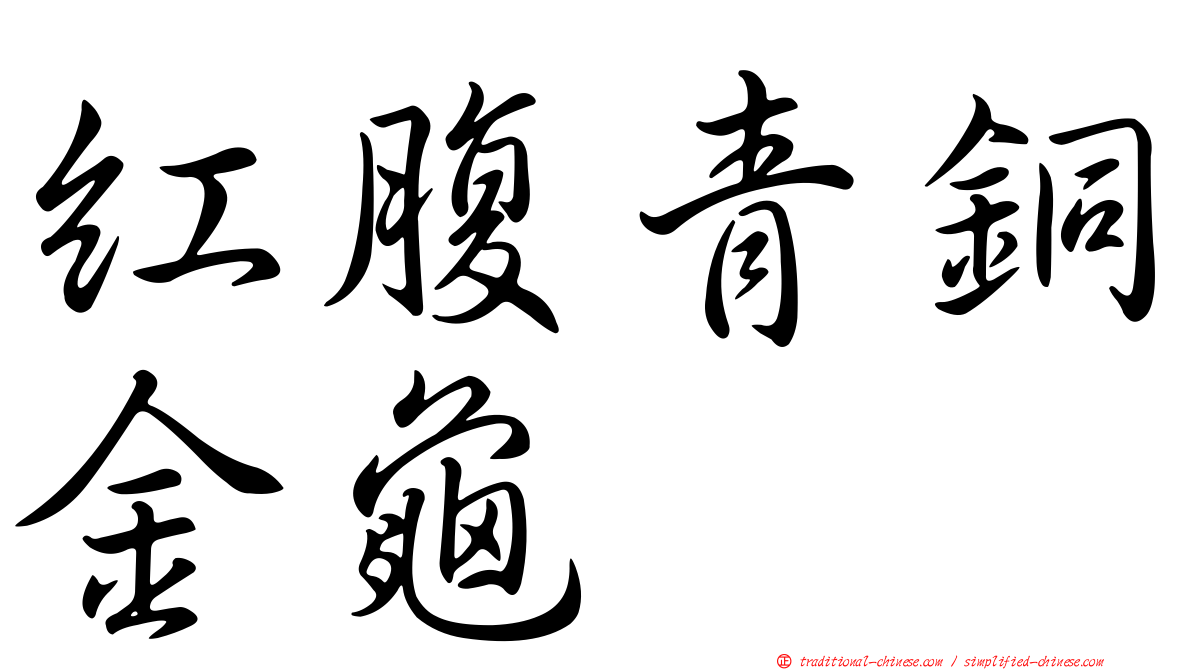 紅腹青銅金龜
