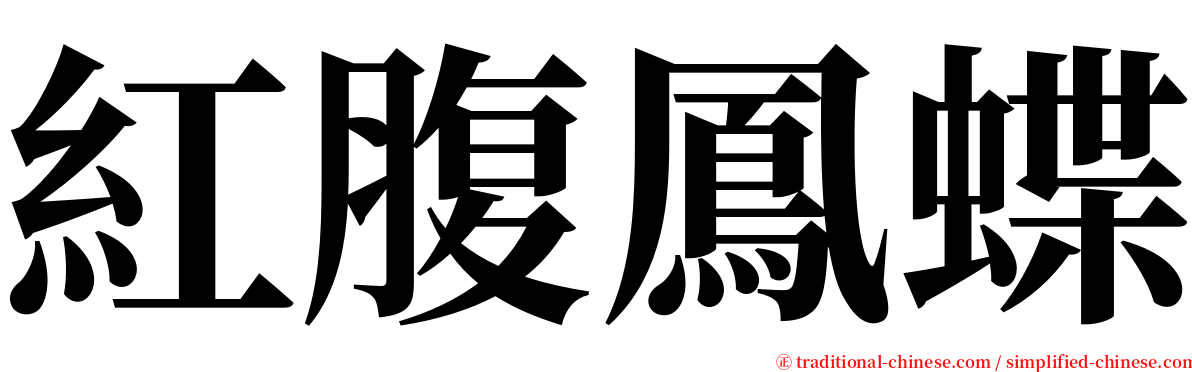 紅腹鳳蝶 serif font