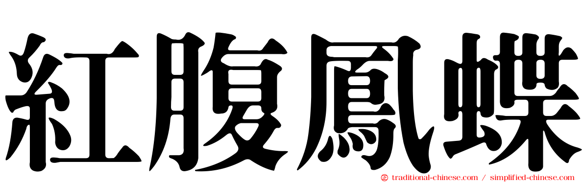 紅腹鳳蝶
