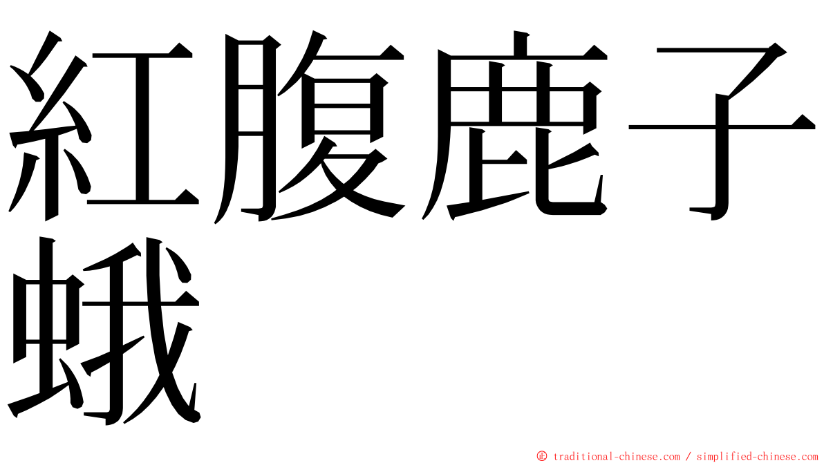 紅腹鹿子蛾 ming font