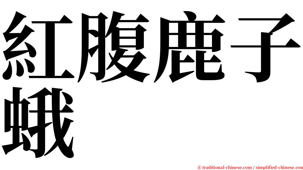 紅腹鹿子蛾 serif font