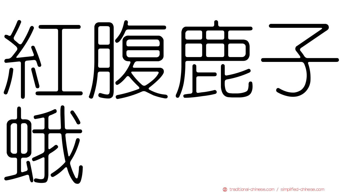 紅腹鹿子蛾