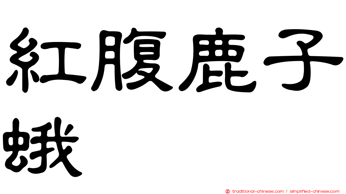 紅腹鹿子蛾