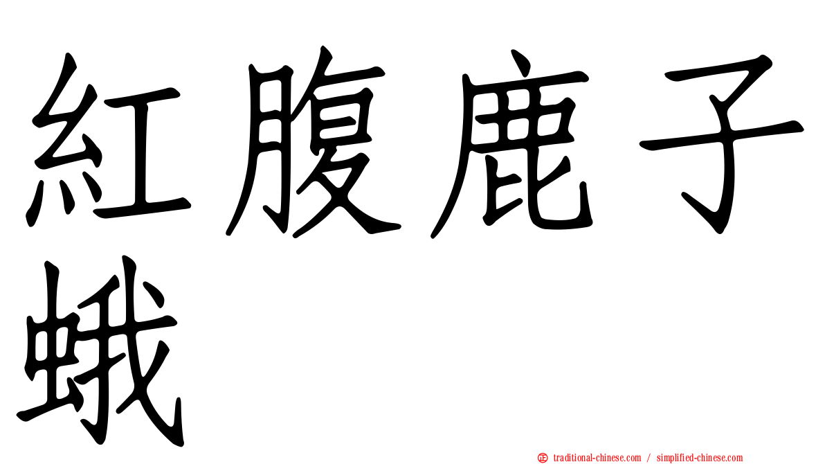 紅腹鹿子蛾