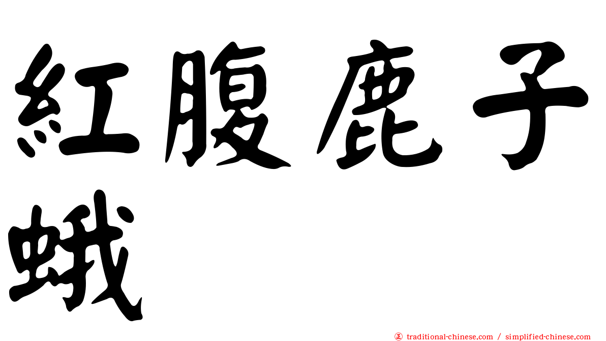 紅腹鹿子蛾