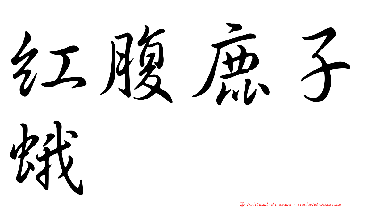 紅腹鹿子蛾