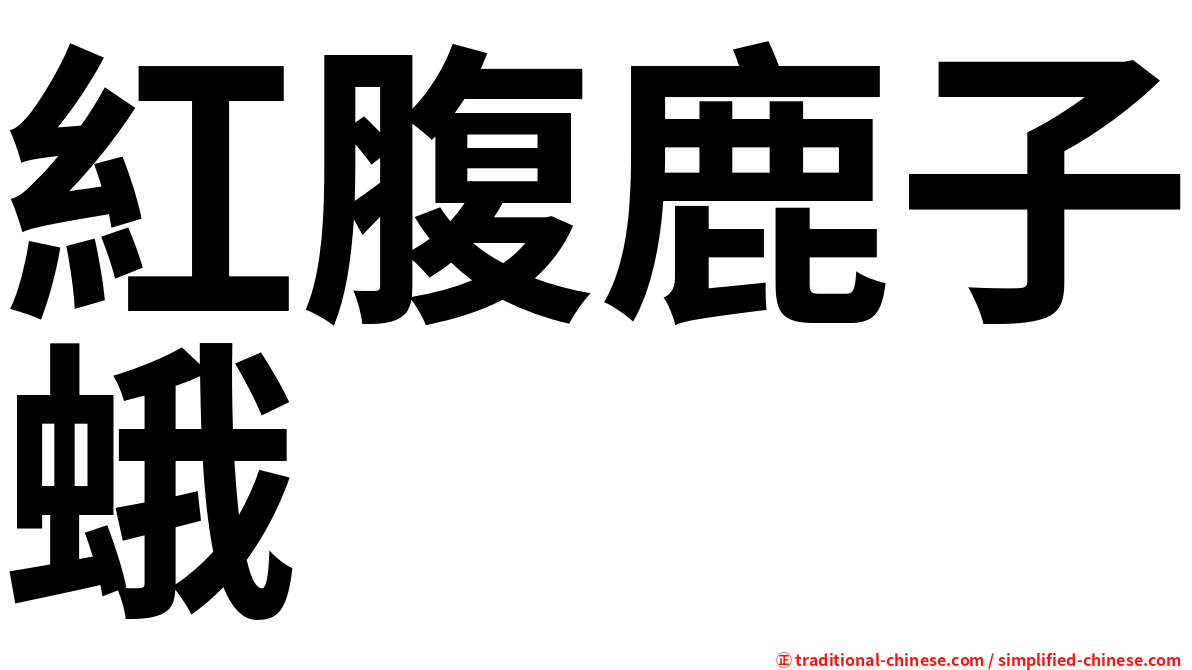紅腹鹿子蛾
