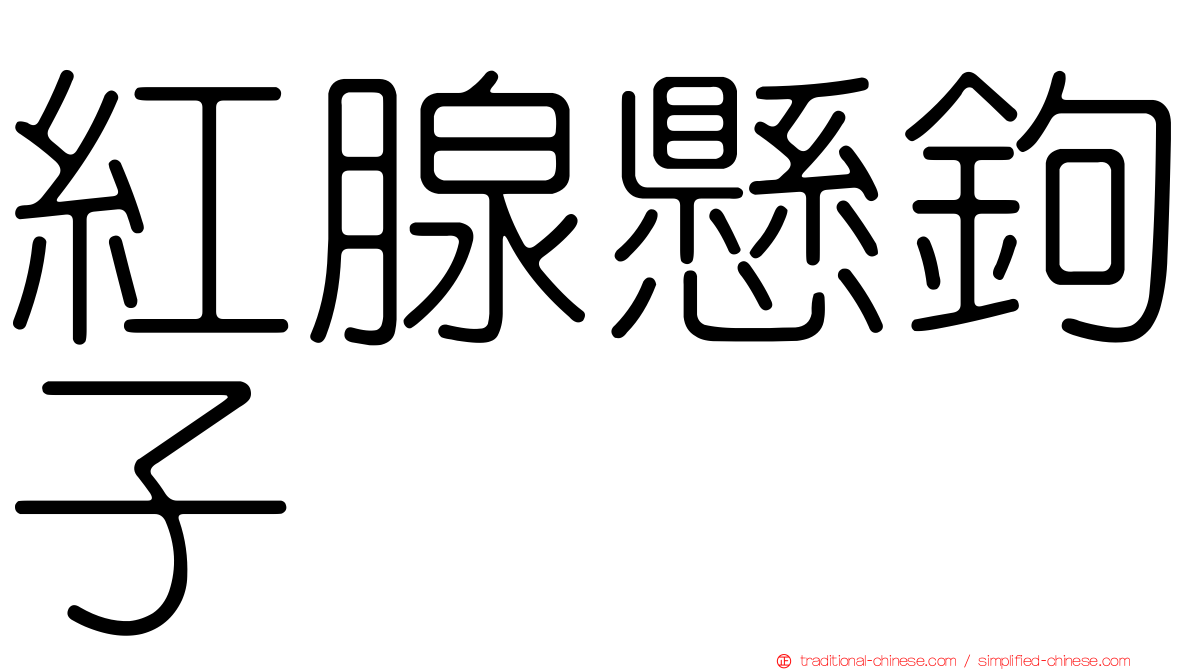 紅腺懸鉤子