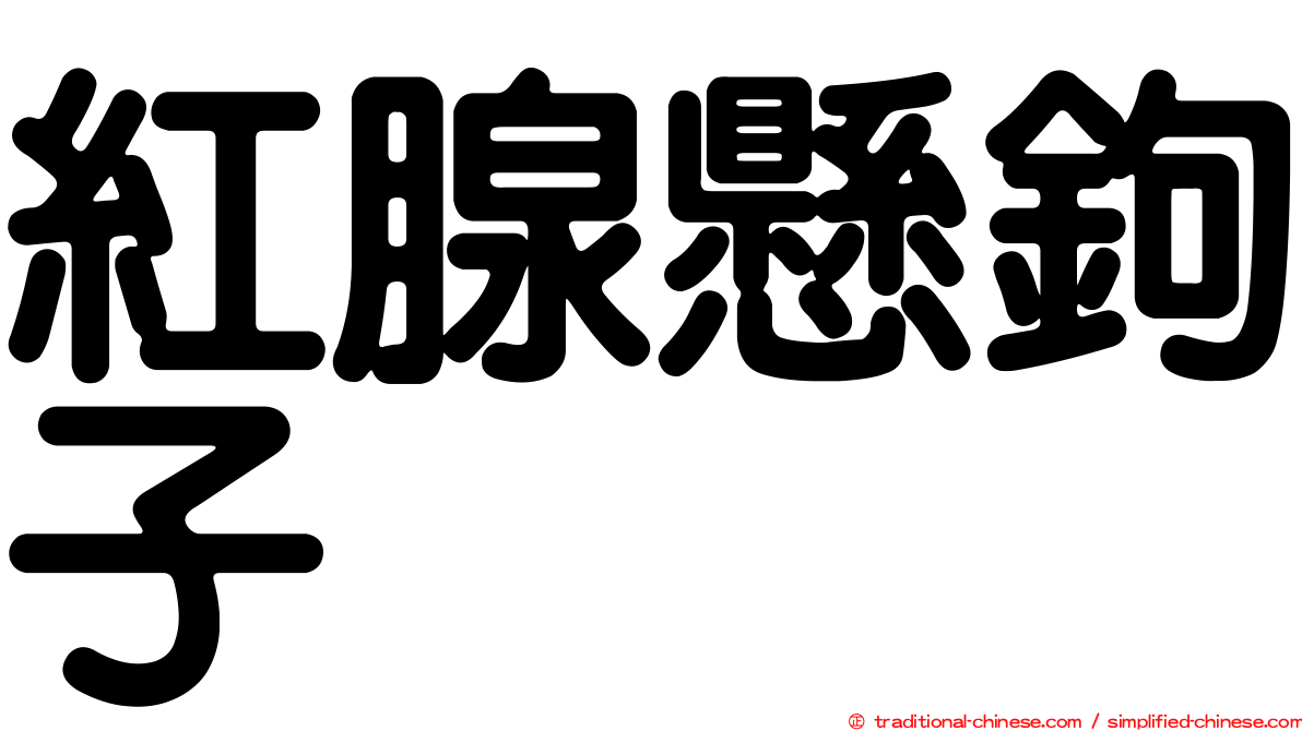 紅腺懸鉤子