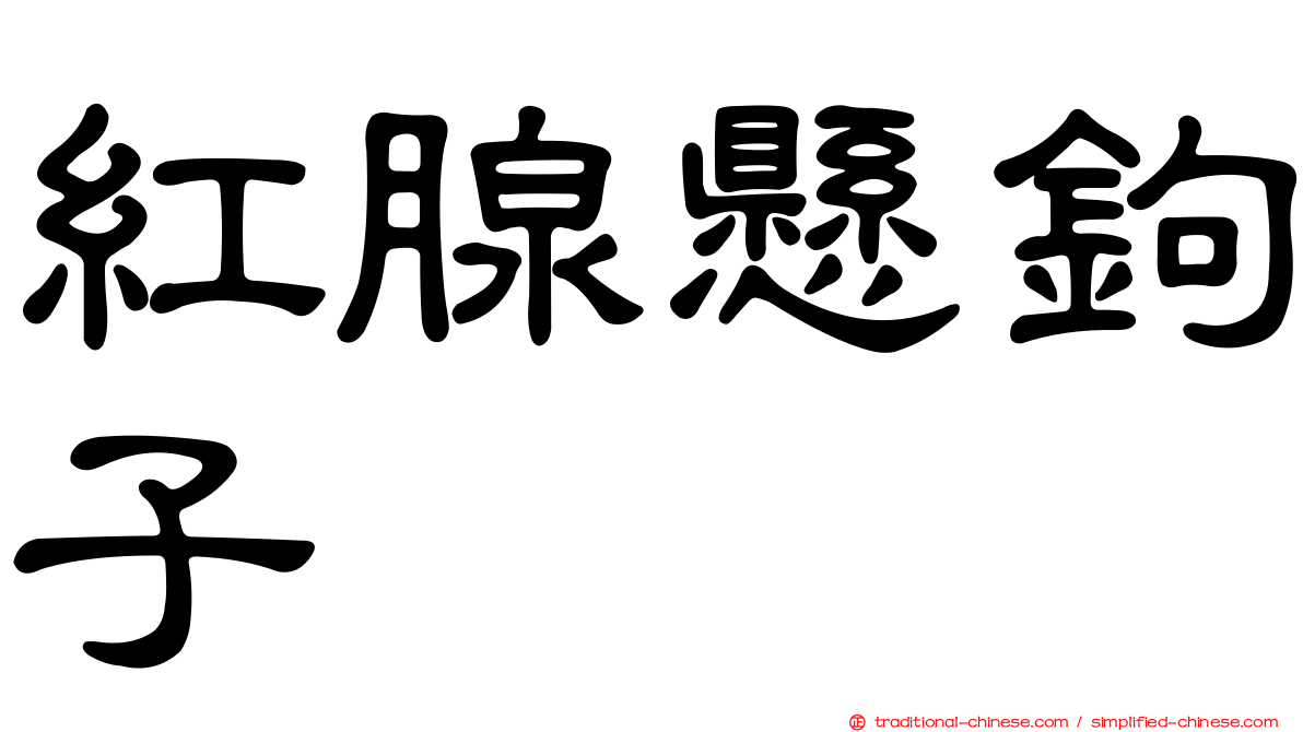 紅腺懸鉤子