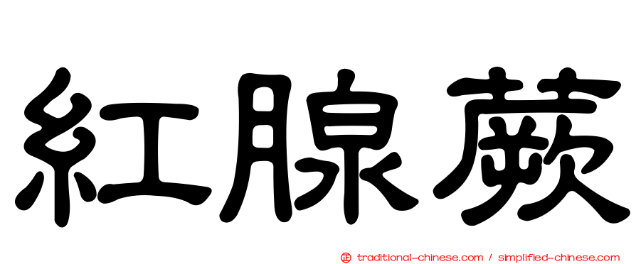 紅腺蕨