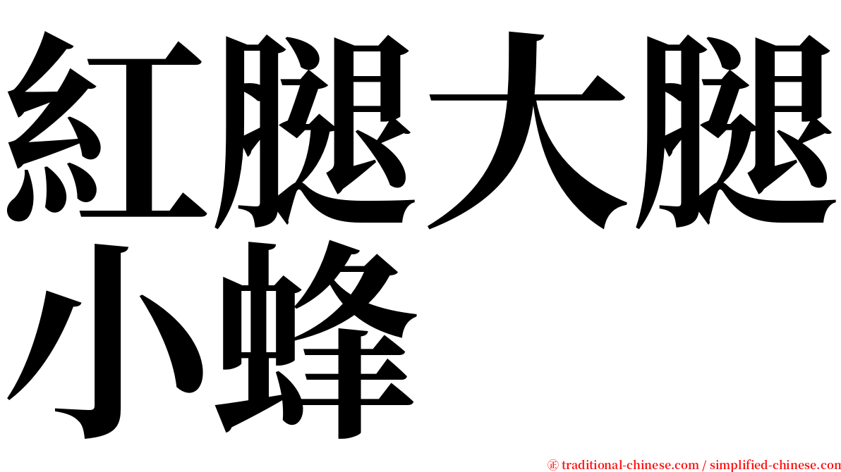 紅腿大腿小蜂 serif font