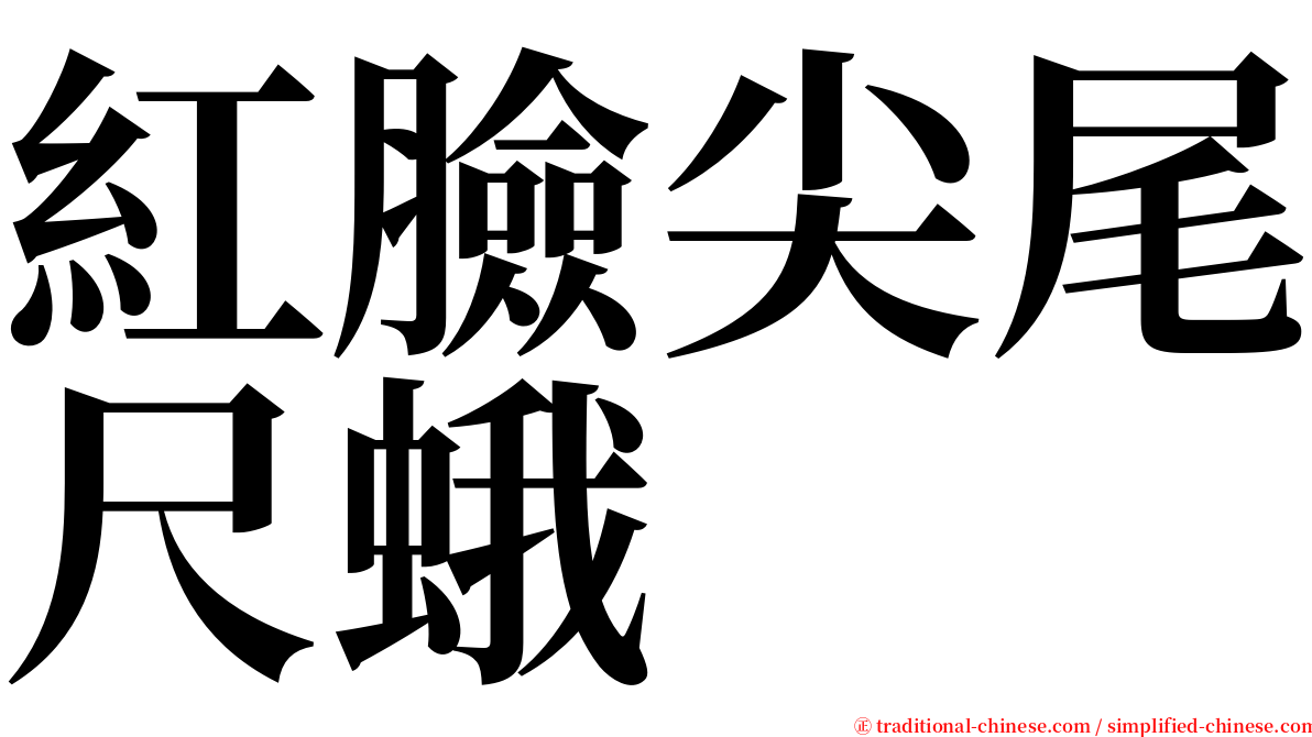 紅臉尖尾尺蛾 serif font