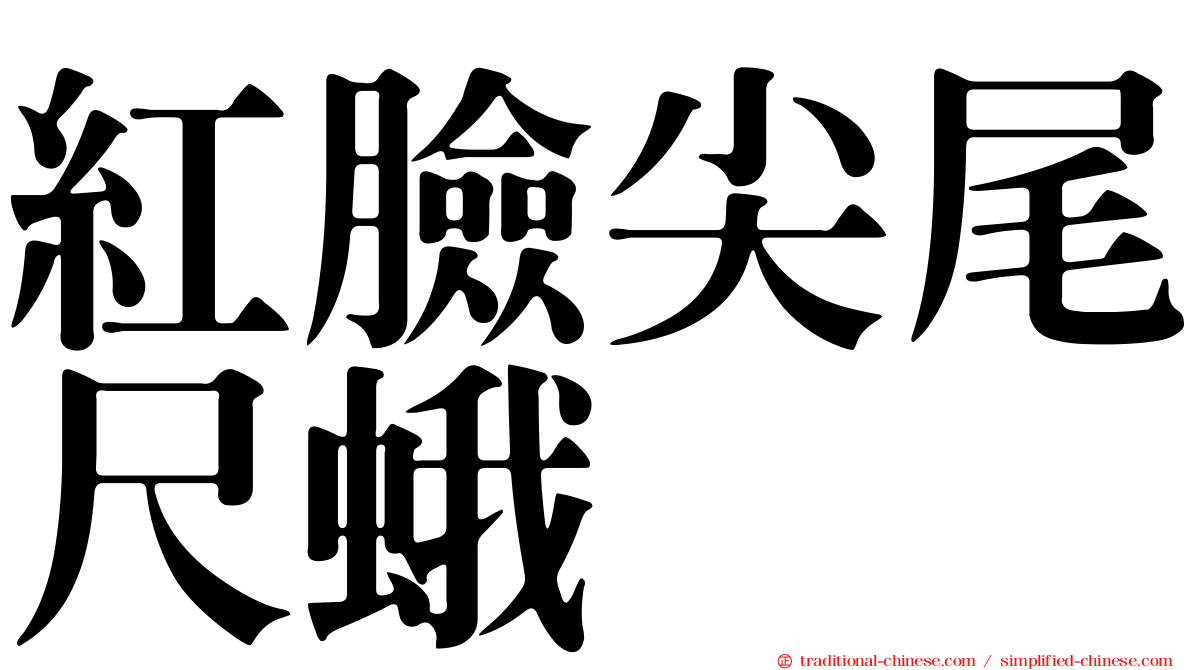 紅臉尖尾尺蛾