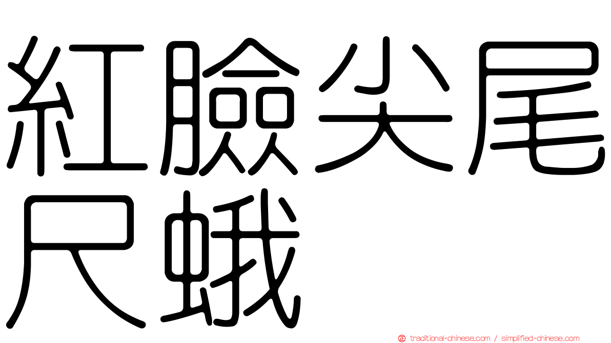 紅臉尖尾尺蛾
