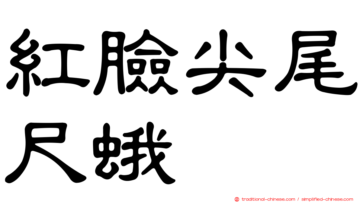 紅臉尖尾尺蛾