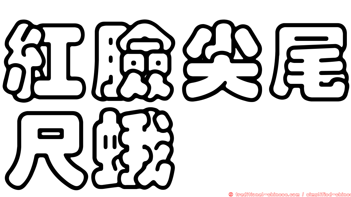 紅臉尖尾尺蛾