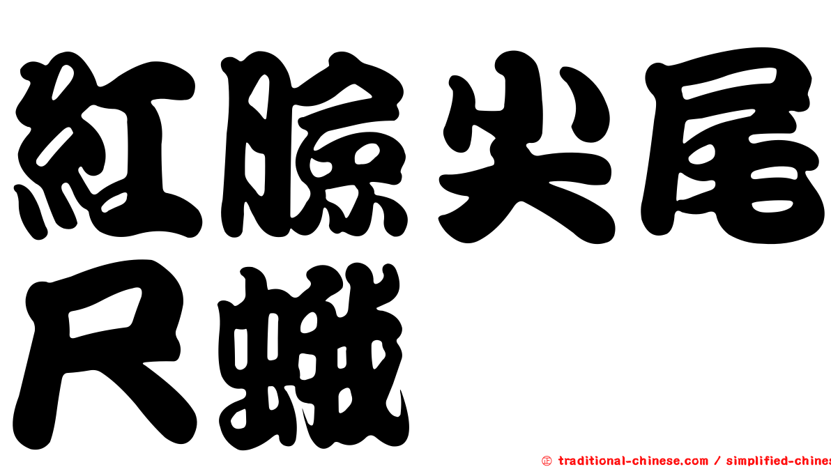 紅臉尖尾尺蛾