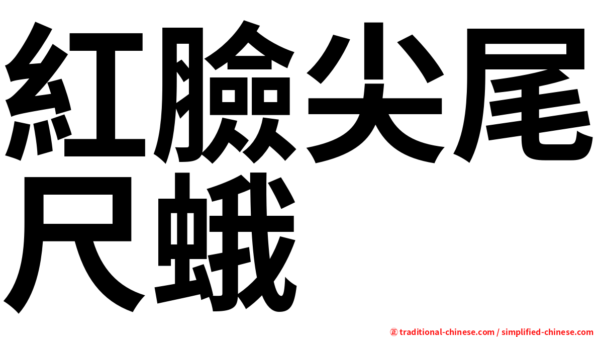 紅臉尖尾尺蛾
