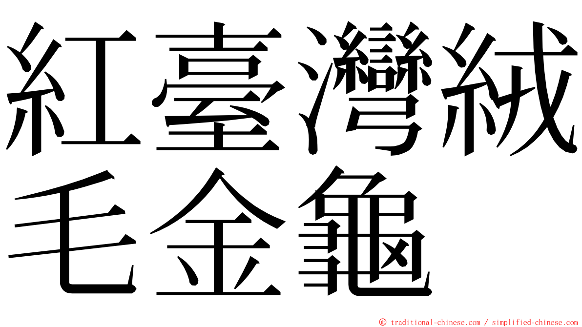 紅臺灣絨毛金龜 ming font