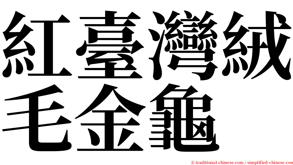 紅臺灣絨毛金龜 serif font