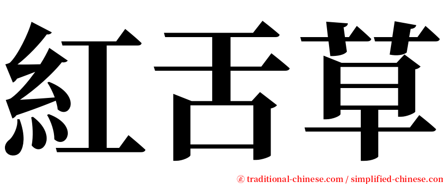 紅舌草 serif font