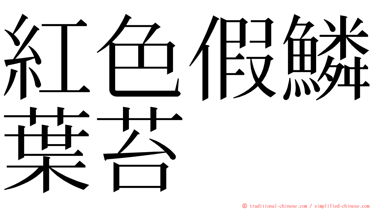 紅色假鱗葉苔 ming font