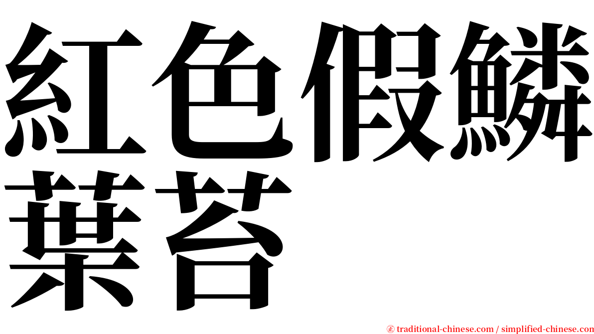 紅色假鱗葉苔 serif font