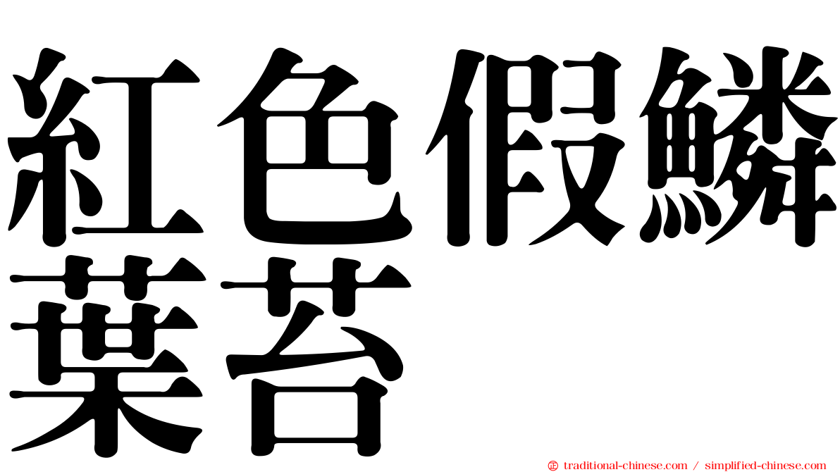 紅色假鱗葉苔