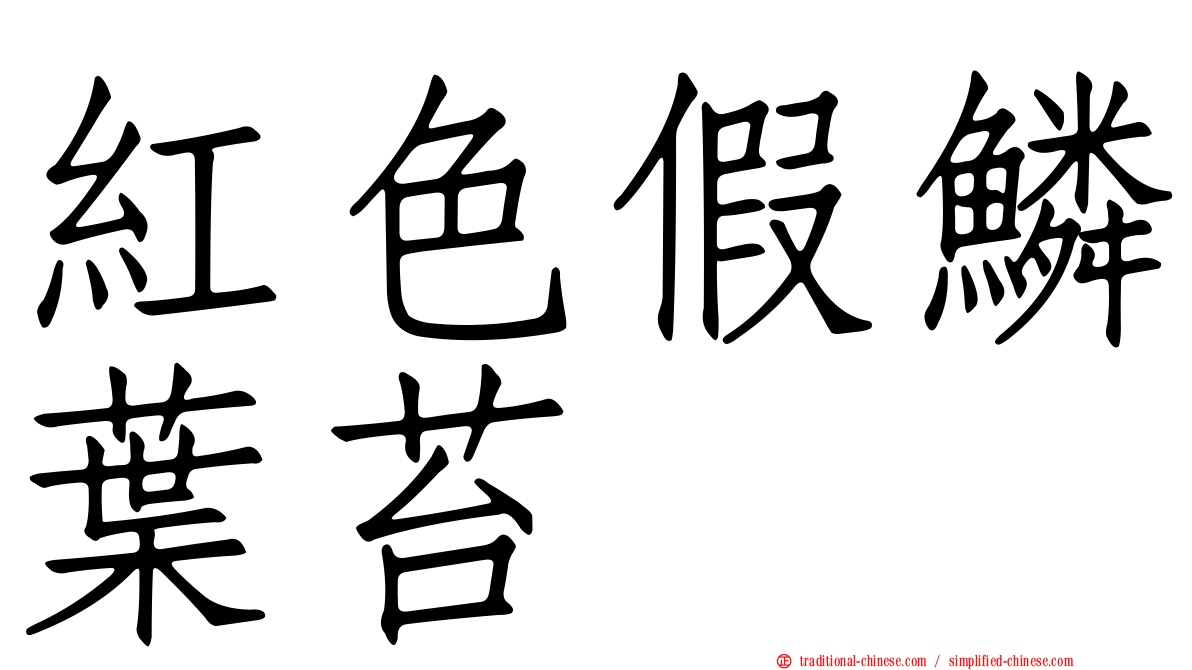 紅色假鱗葉苔